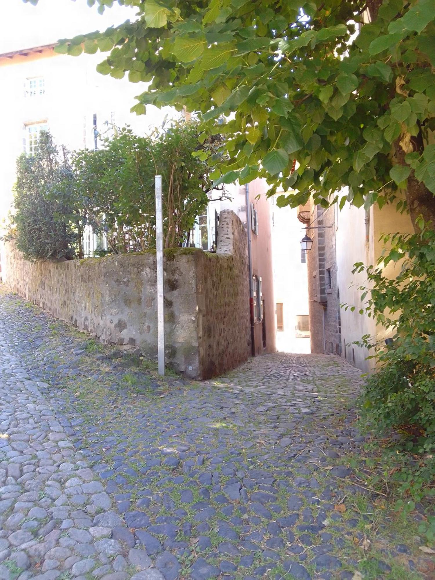 شقة Le Relax Max Le Puy-en-Velay الغرفة الصورة